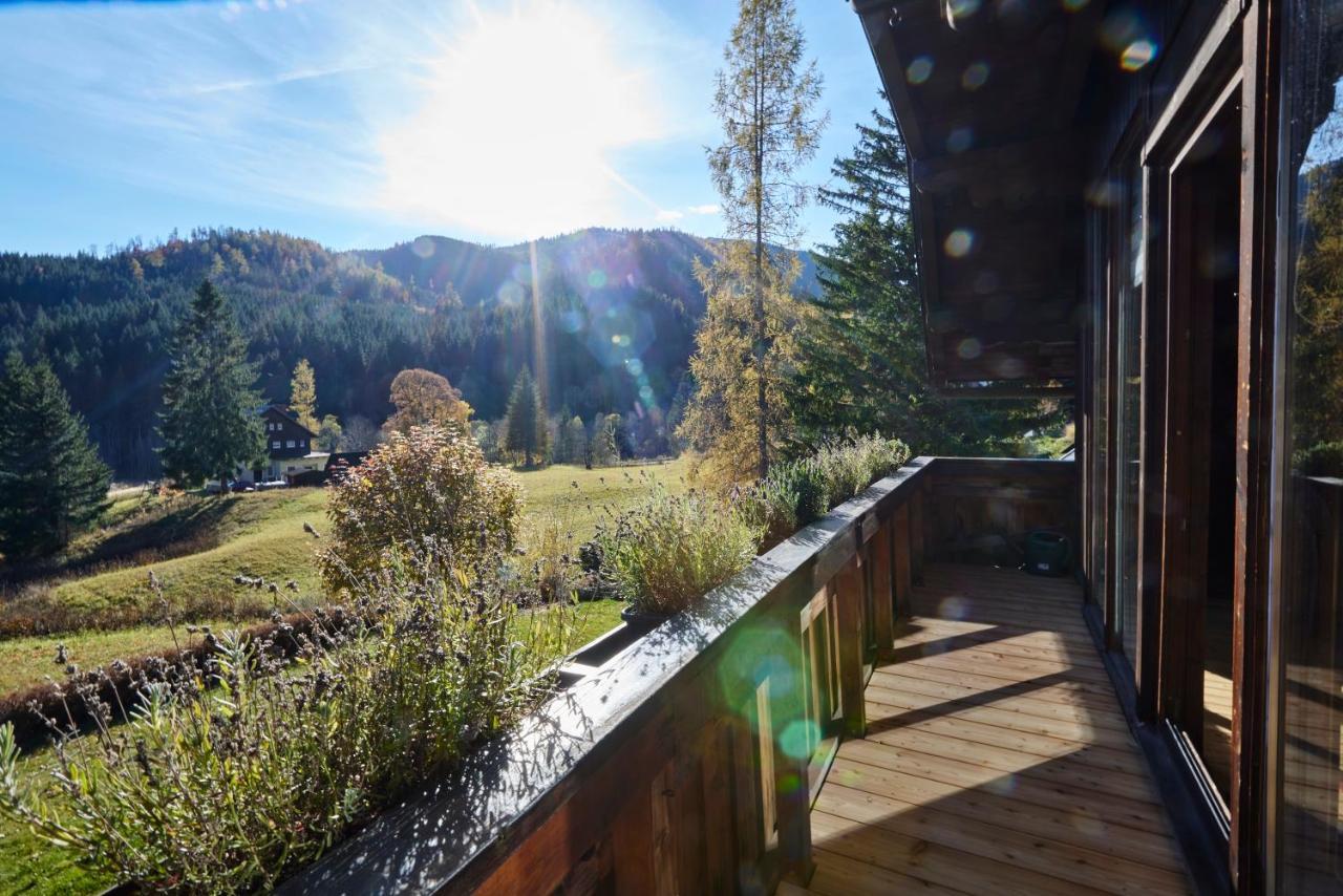 Frein Chalets - Wildalm Frein an der Murz Extérieur photo