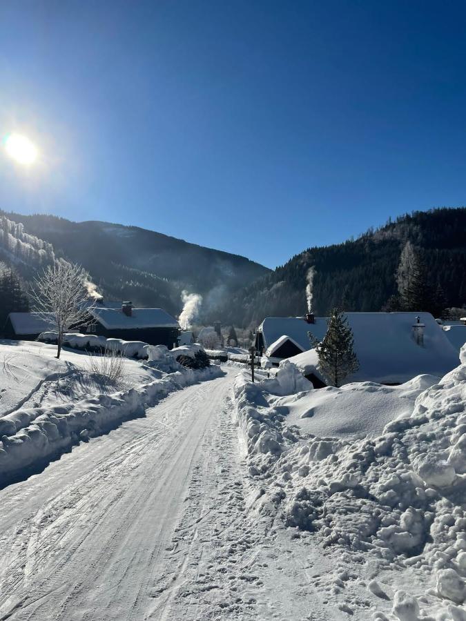 Frein Chalets - Wildalm Frein an der Murz Extérieur photo