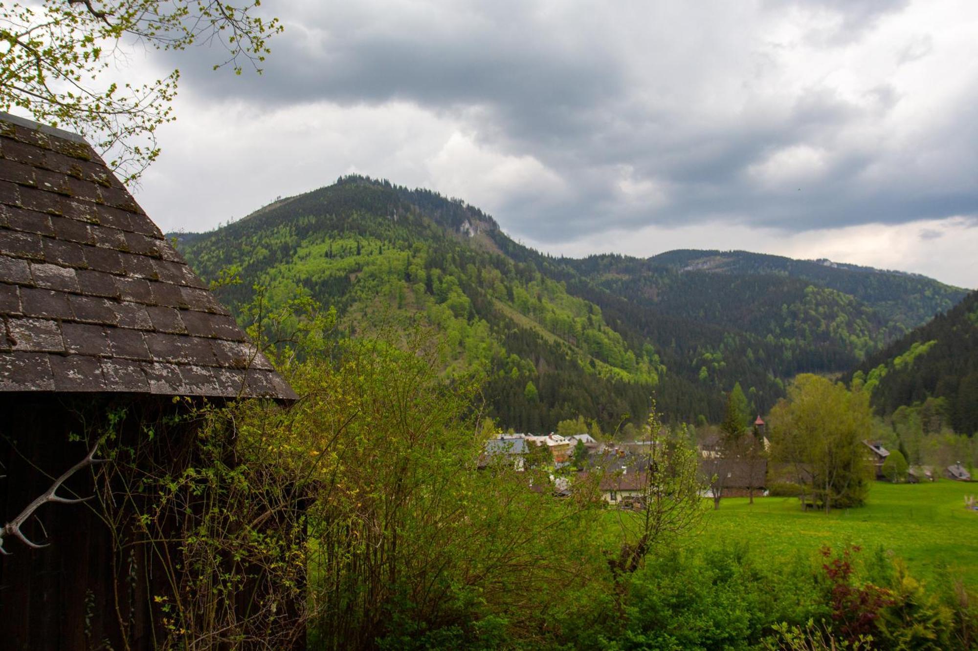 Frein Chalets - Wildalm Frein an der Murz Extérieur photo
